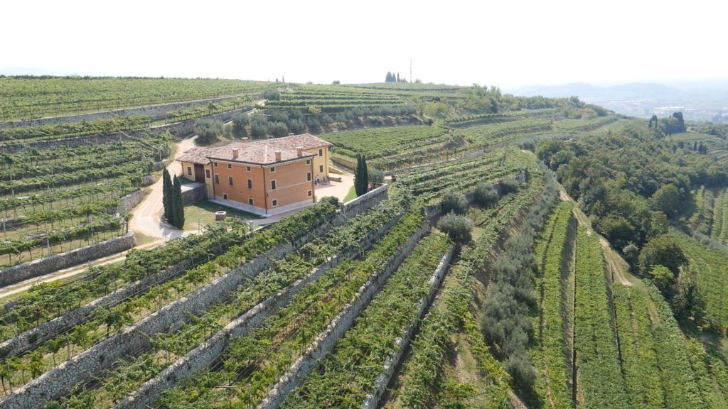 sant-urbano-vineyard