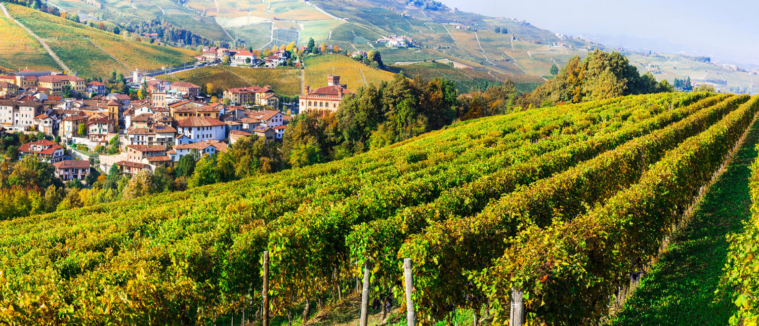 Piedmont Empson & Co.